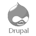 drupal-developer.gif